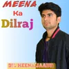 About Meena Ka Dilraj Song